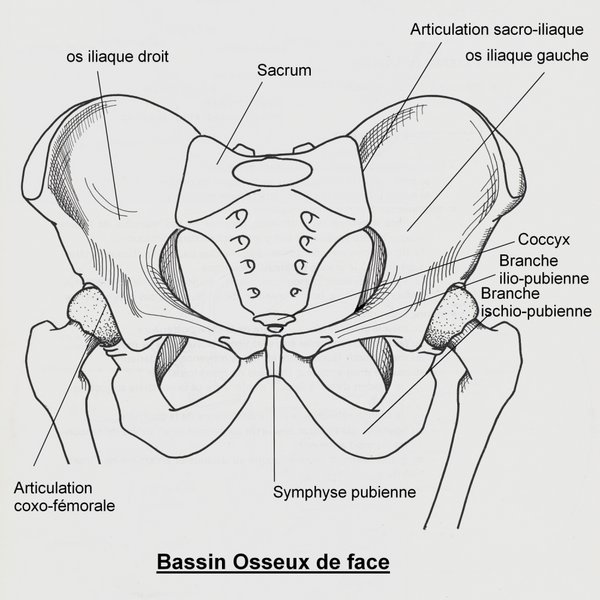 Fracture Bassin